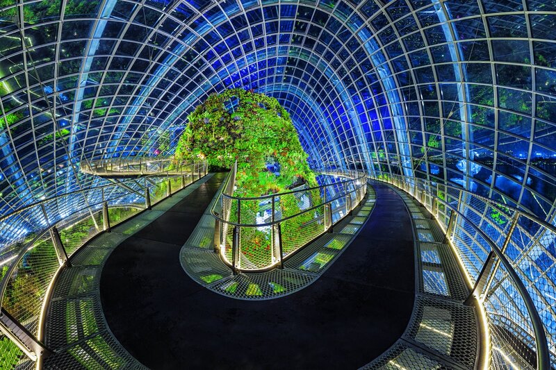 Biophilic Dome Interior