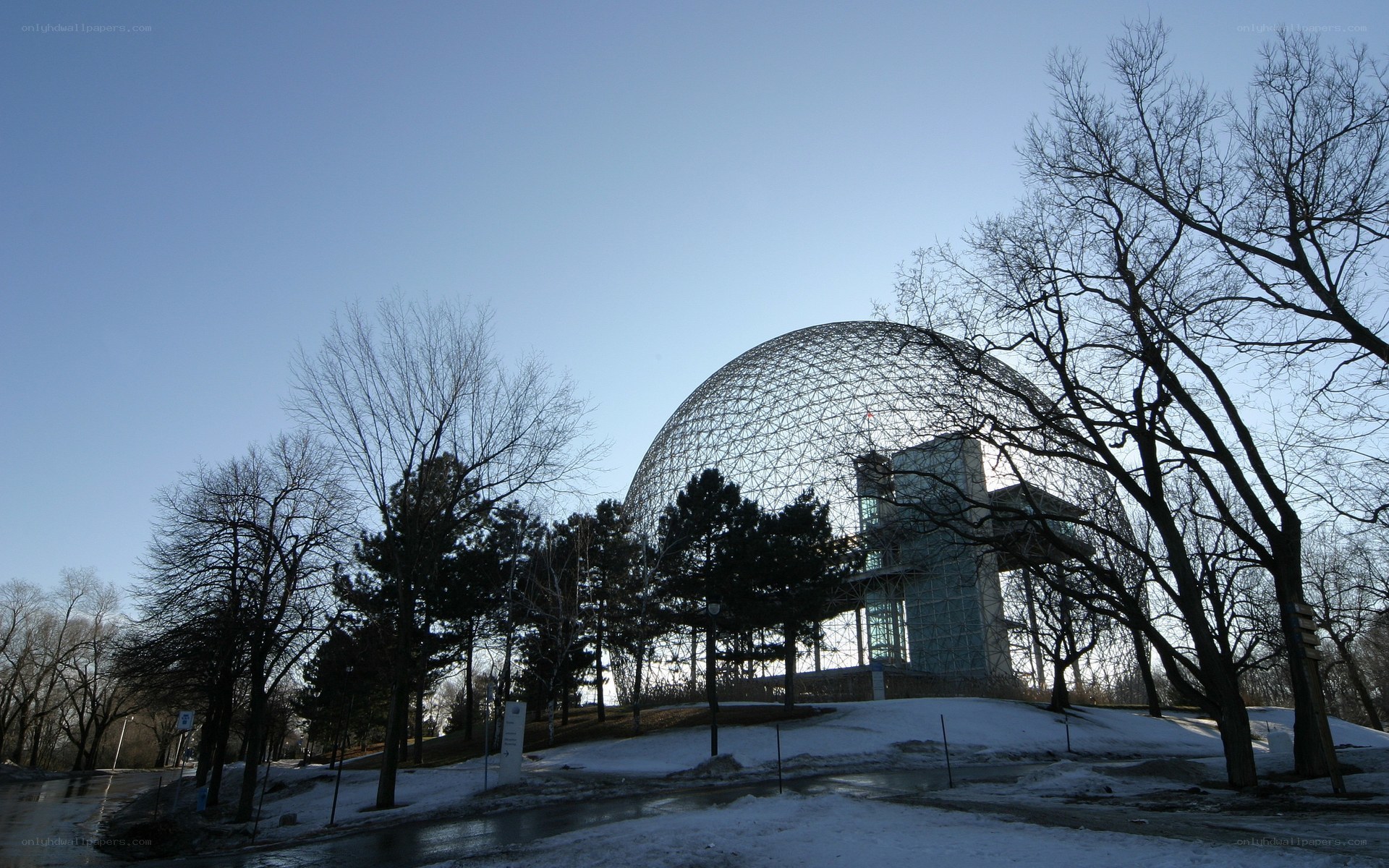 Biosphere in winter
