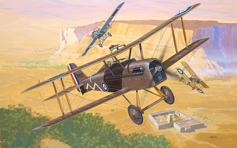 Biplane Aircraft in Flight — Brown