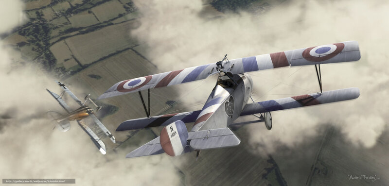 Biplane Dogfight — Gray