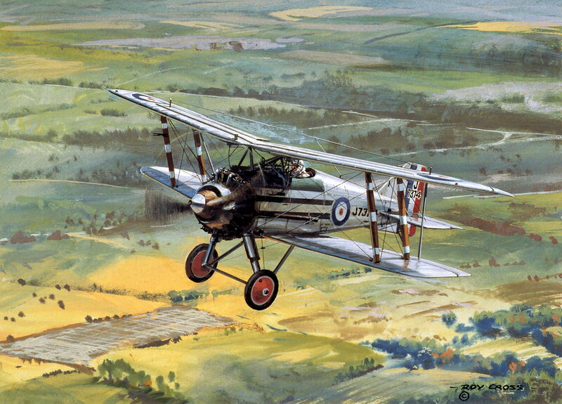 Biplane Flying over Fields — Green