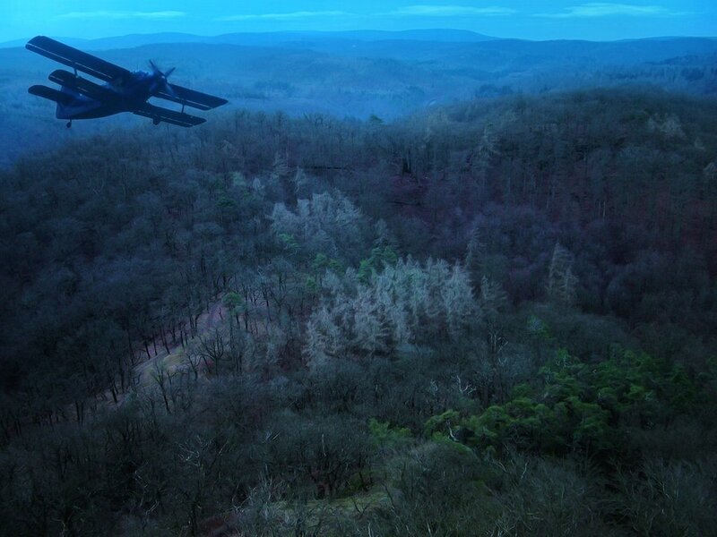 Biplane flying over forest
