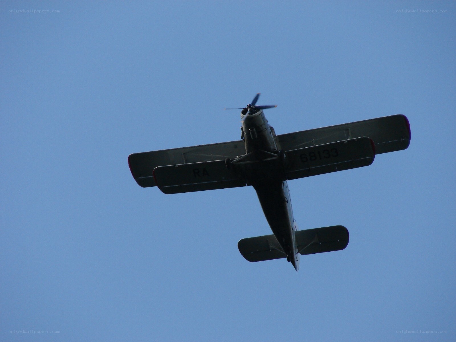 biplane flying overhead