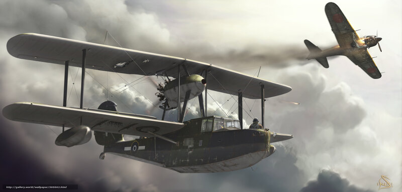 Biplane in Combat