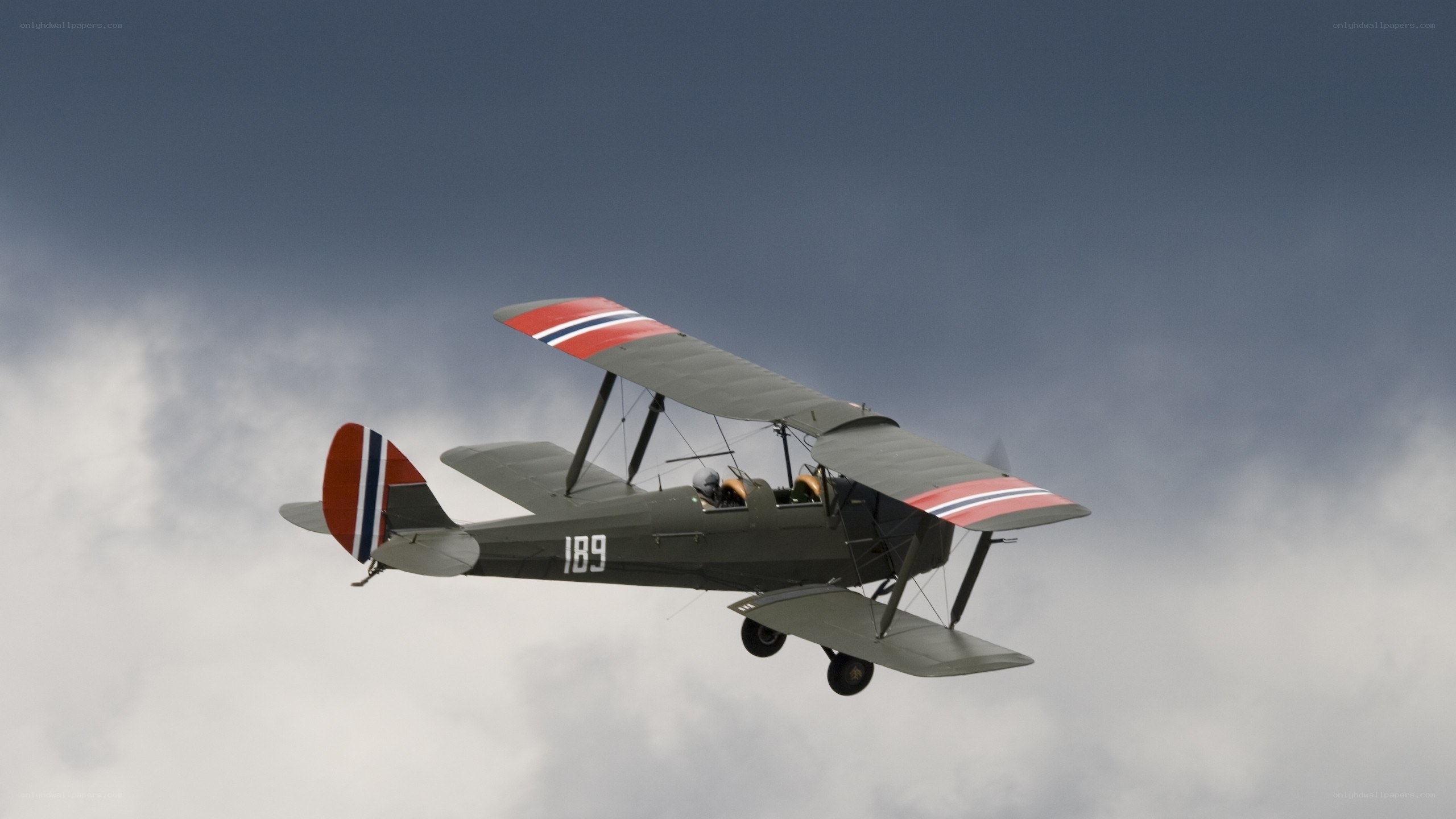 Biplane in flight