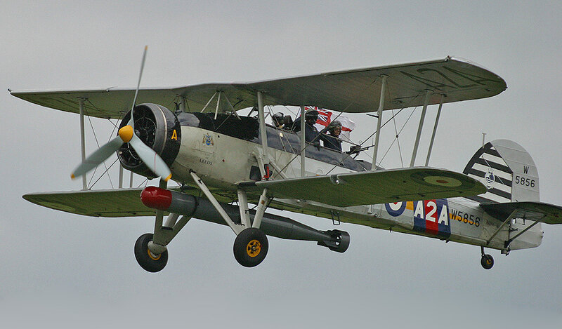 Biplane in Flight — Gray, Dynamic