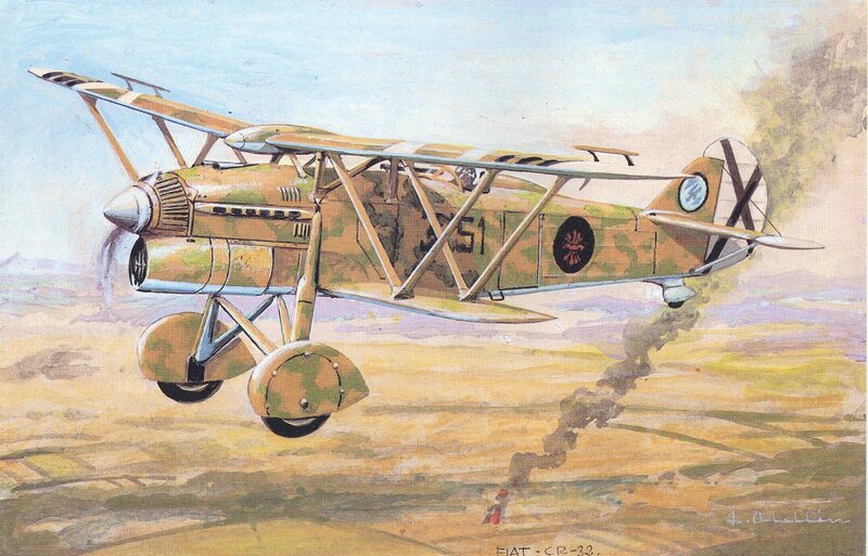 Biplane in Flight — Green, Dramatic, Afternoon