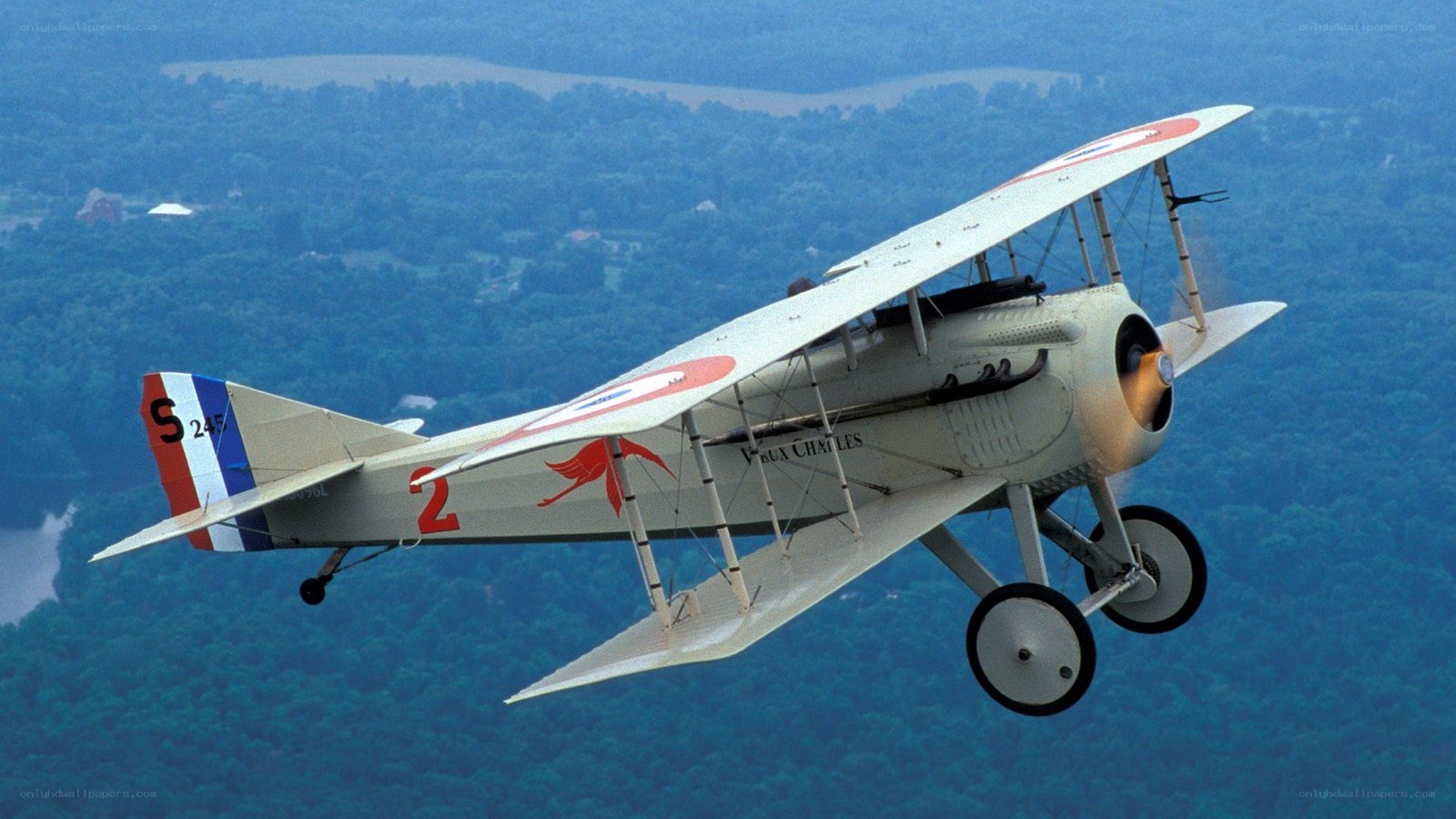 biplane in flight over forest