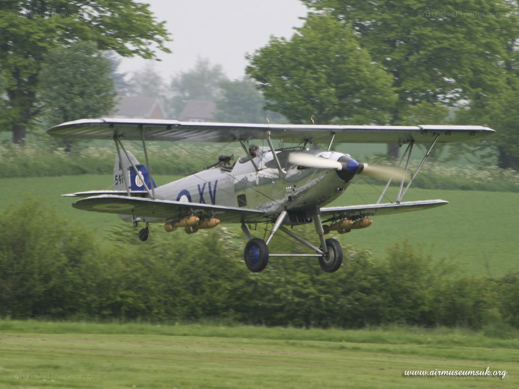biplane in flight over green field