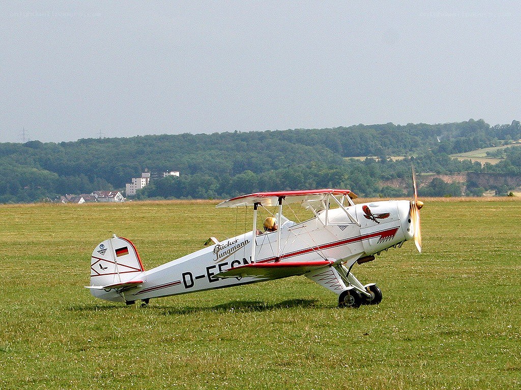 Biplane on a grass field