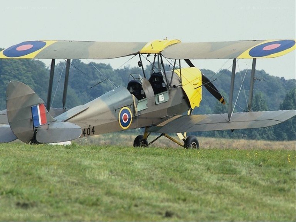 biplane on a grassy field