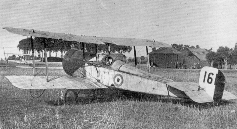 Biplane on Grass Field — Black