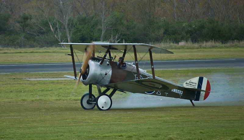 Biplane on Grass