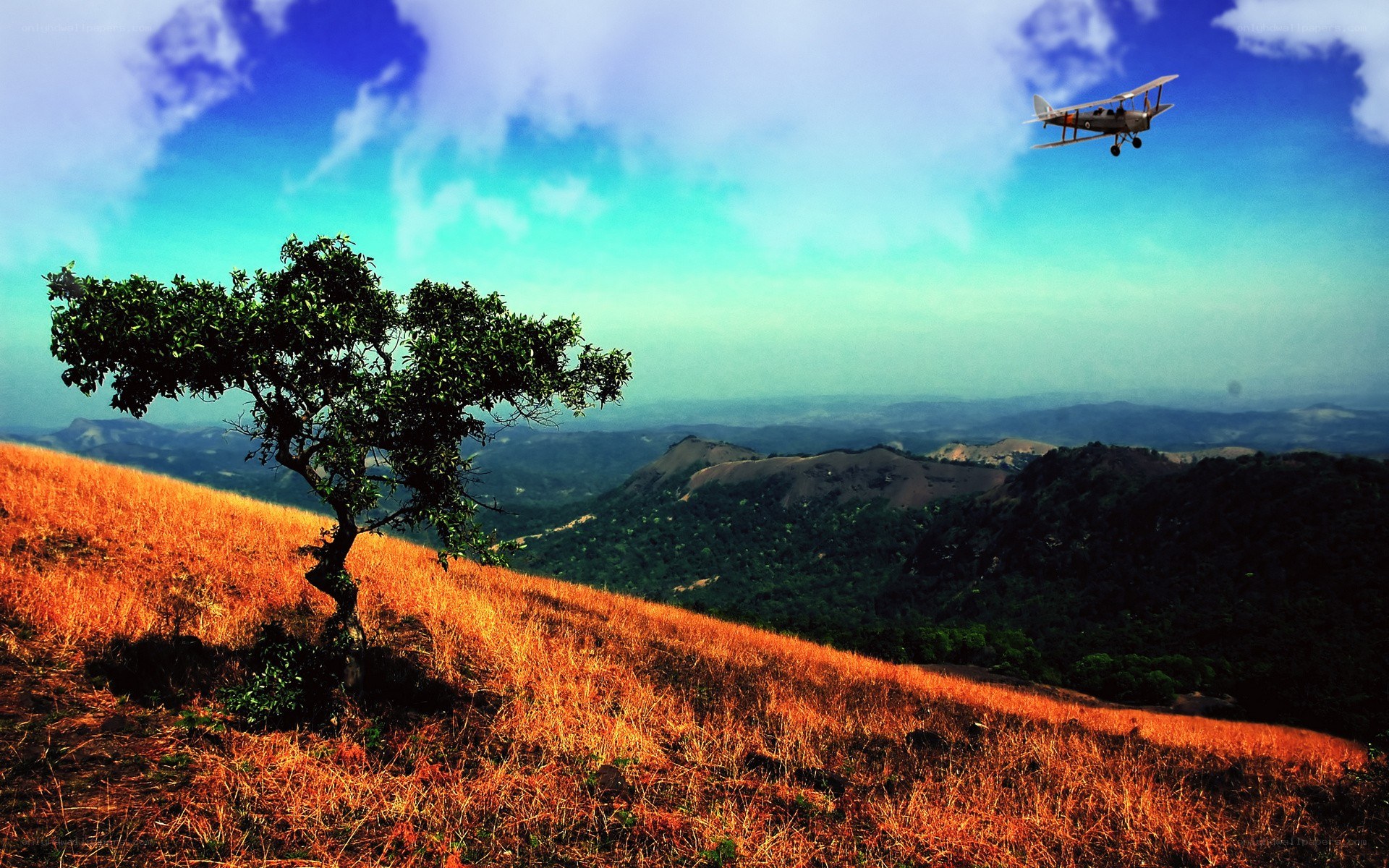 Biplane over a scenic landscape