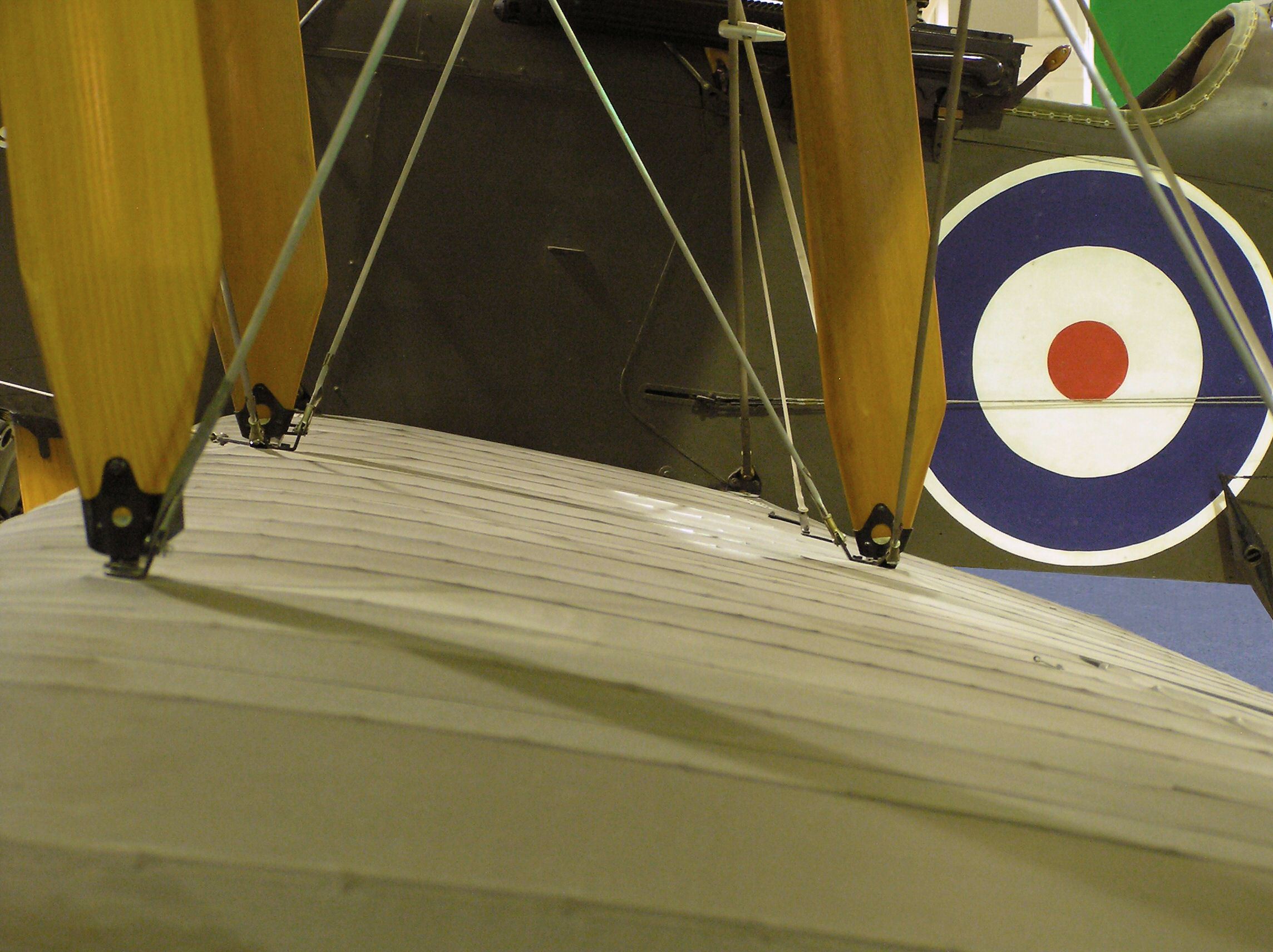 biplane with roundel insignia
