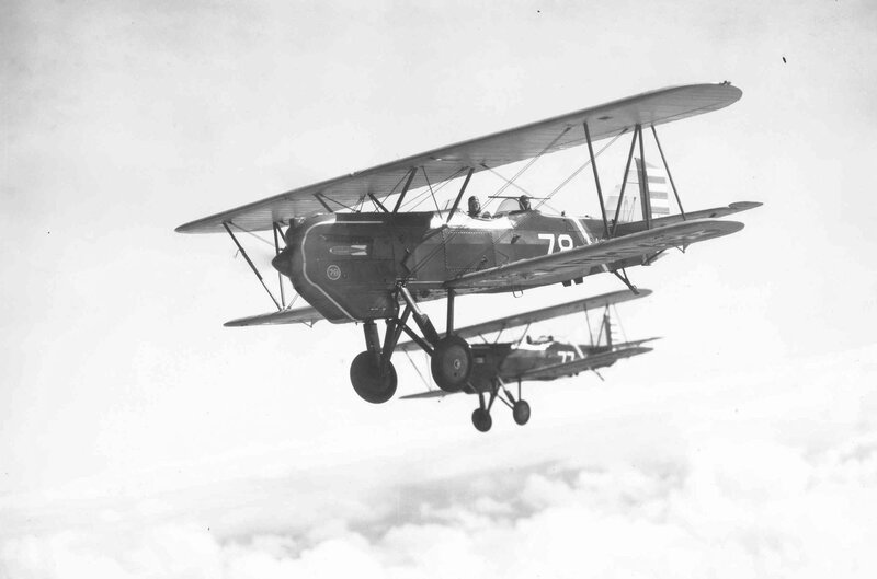 Biplanes in Flight — Black