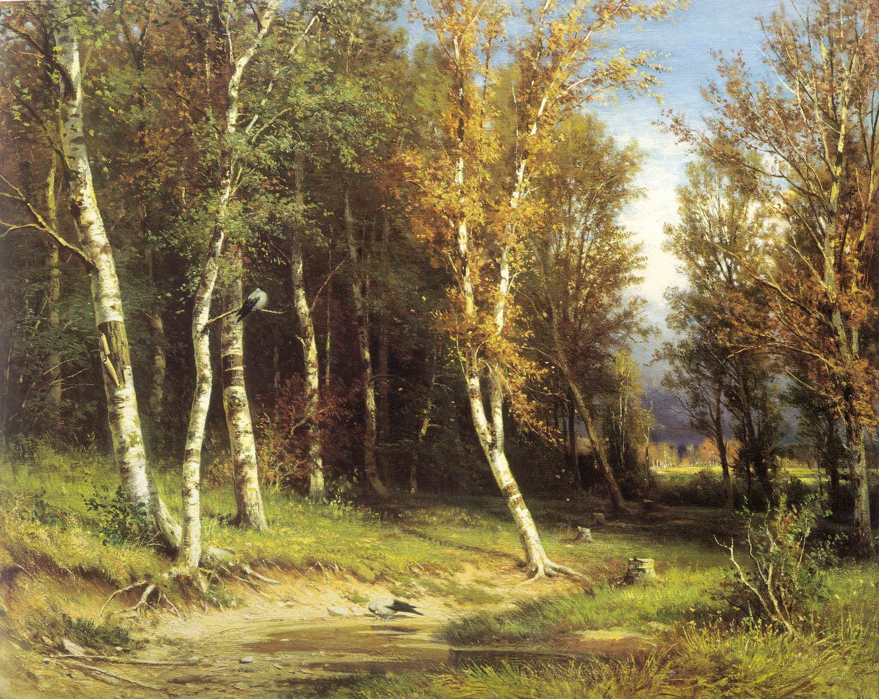 Birch forest in autumn