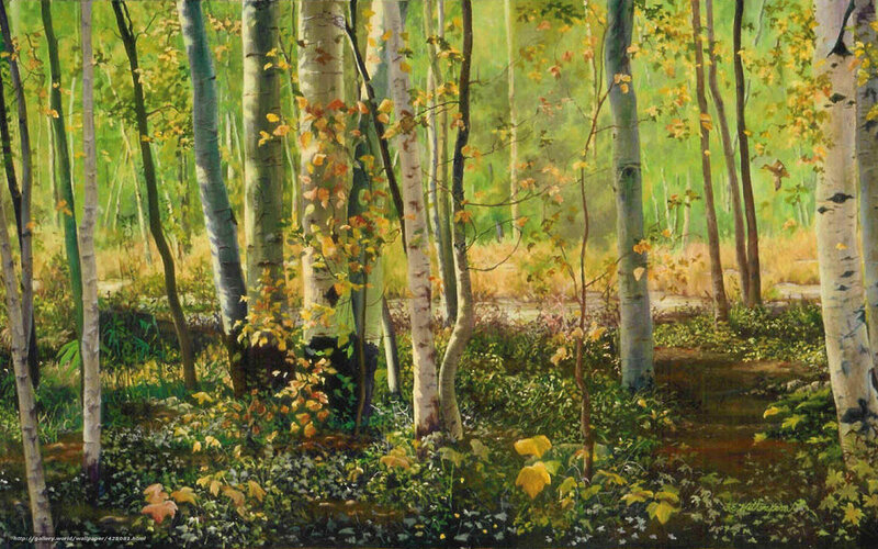 Birch Forest in Autumn — Green
