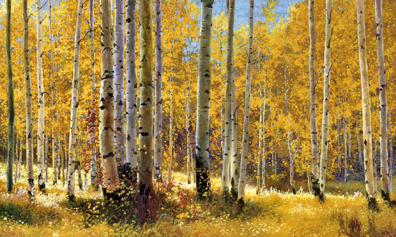 Birch Forest in Autumn — Yellow