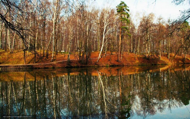 Birch Forest Lake
