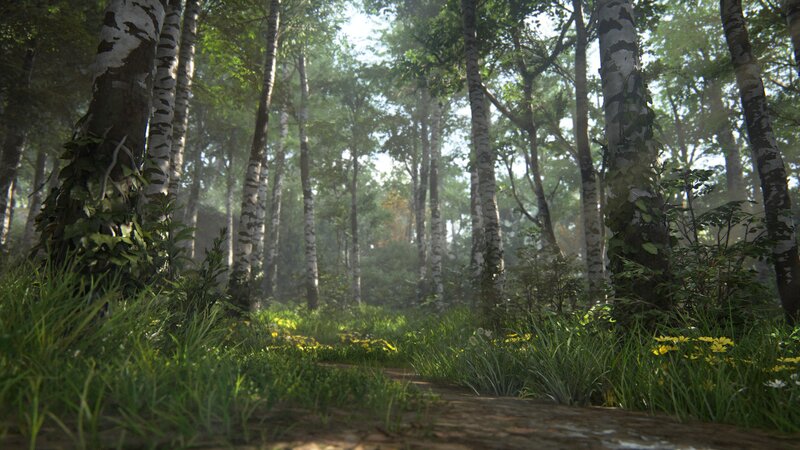 Birch Forest Path — Green, Serene, Morning, 3d Render