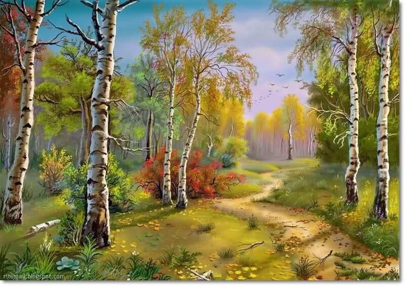 Birch Forest Path — Green