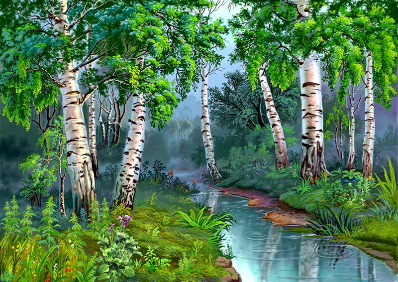Birch Forest Stream — Green, Serene