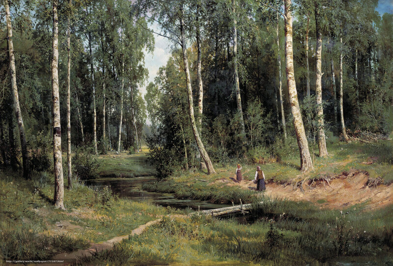 Birch forest stream scene