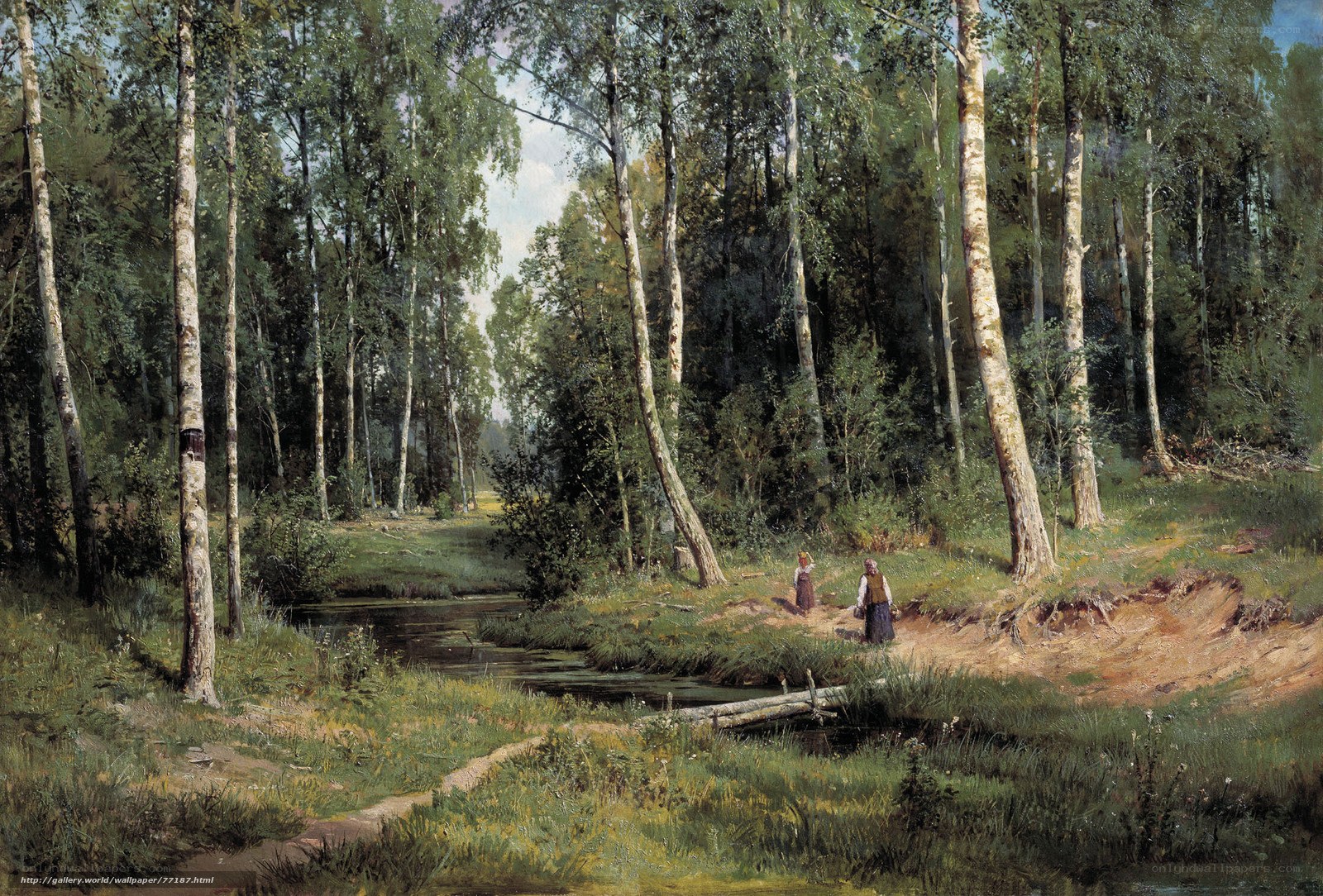 Birch forest stream scene
