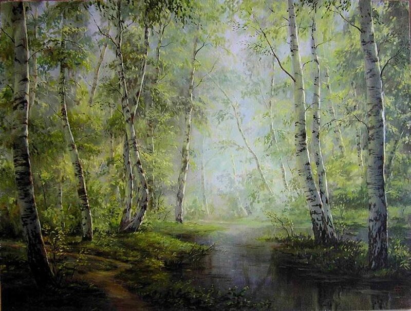 Birch Forest Stream