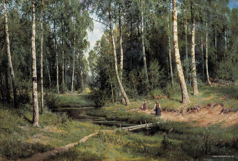 Birch forest with stream