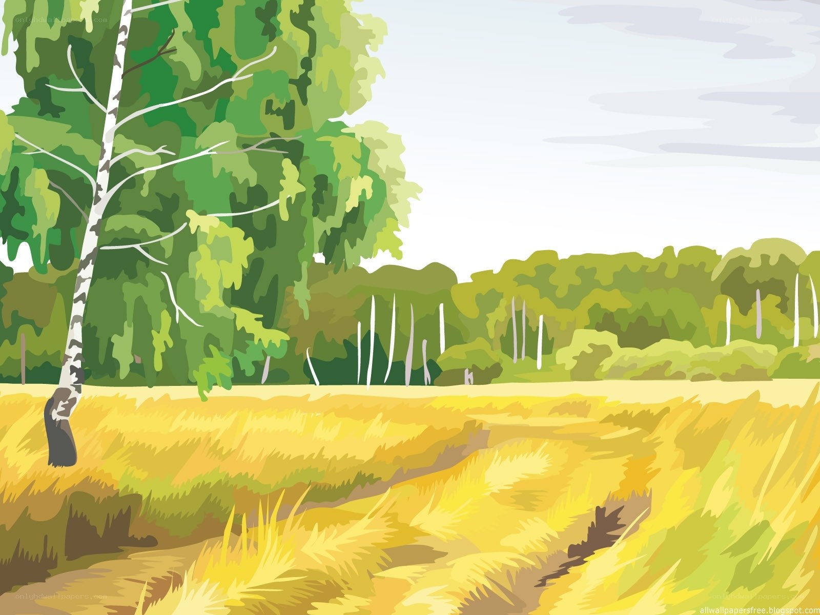 Birch tree in a golden field