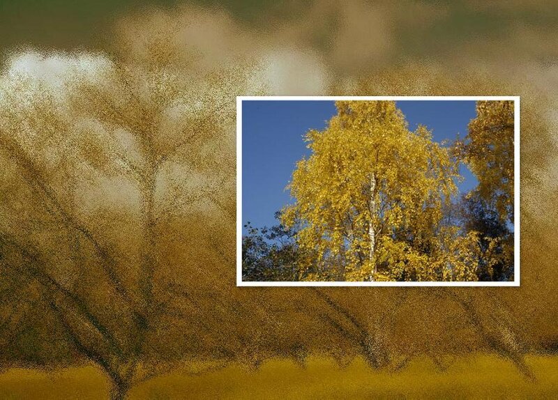 Birch Tree in Autumn — Yellow, Serene