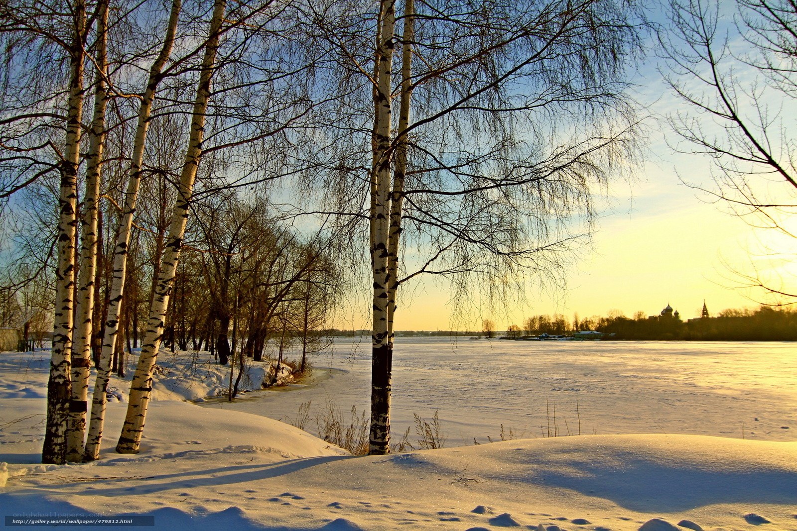 Birch trees by a frozen river