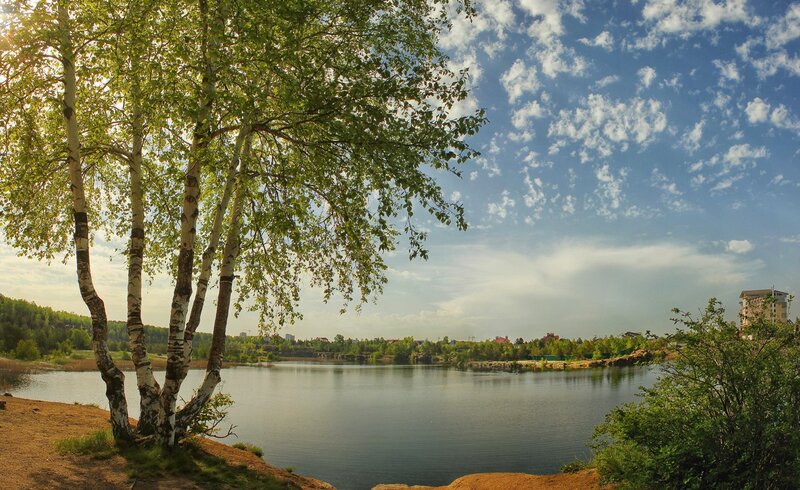 Birch Trees by Lake — Blue, Serene, Afternoon