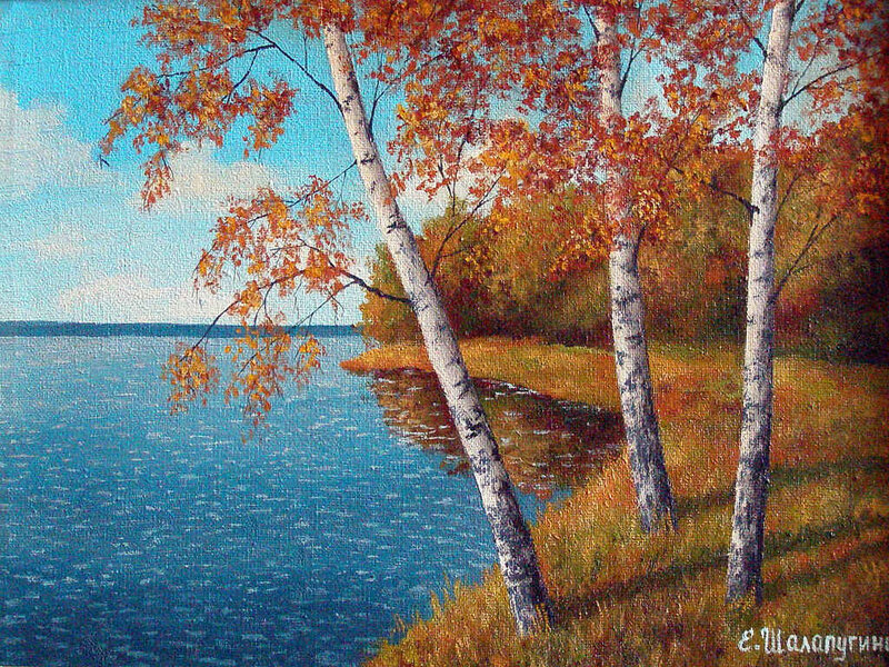 Birch Trees by Lake — Blue, Serene