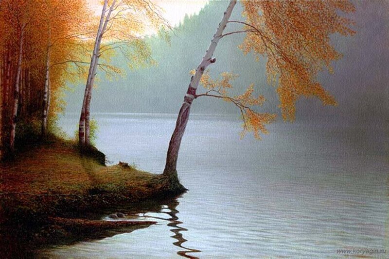 Birch Trees by Lake — Yellow, Serene, Autumn
