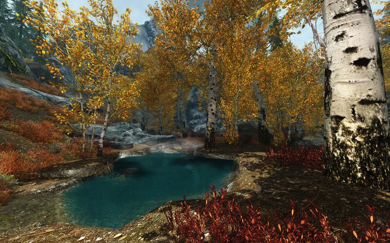 Birch Trees by Pond — Blue