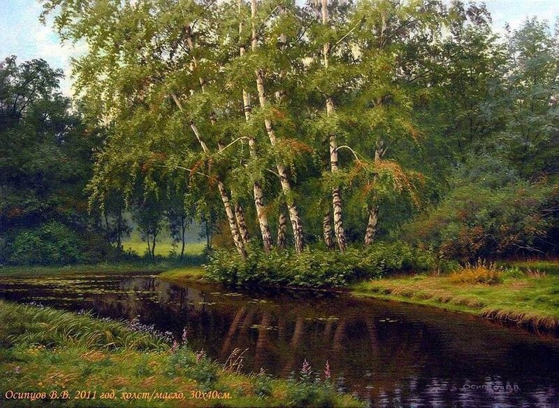 Birch Trees by River — Green, Serene, Afternoon