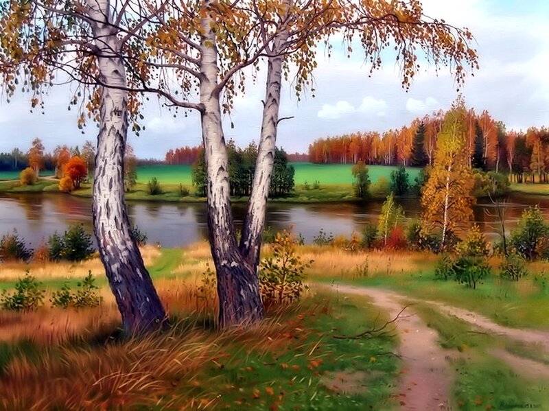 Birch Trees by River — Green, Serene, Autumn