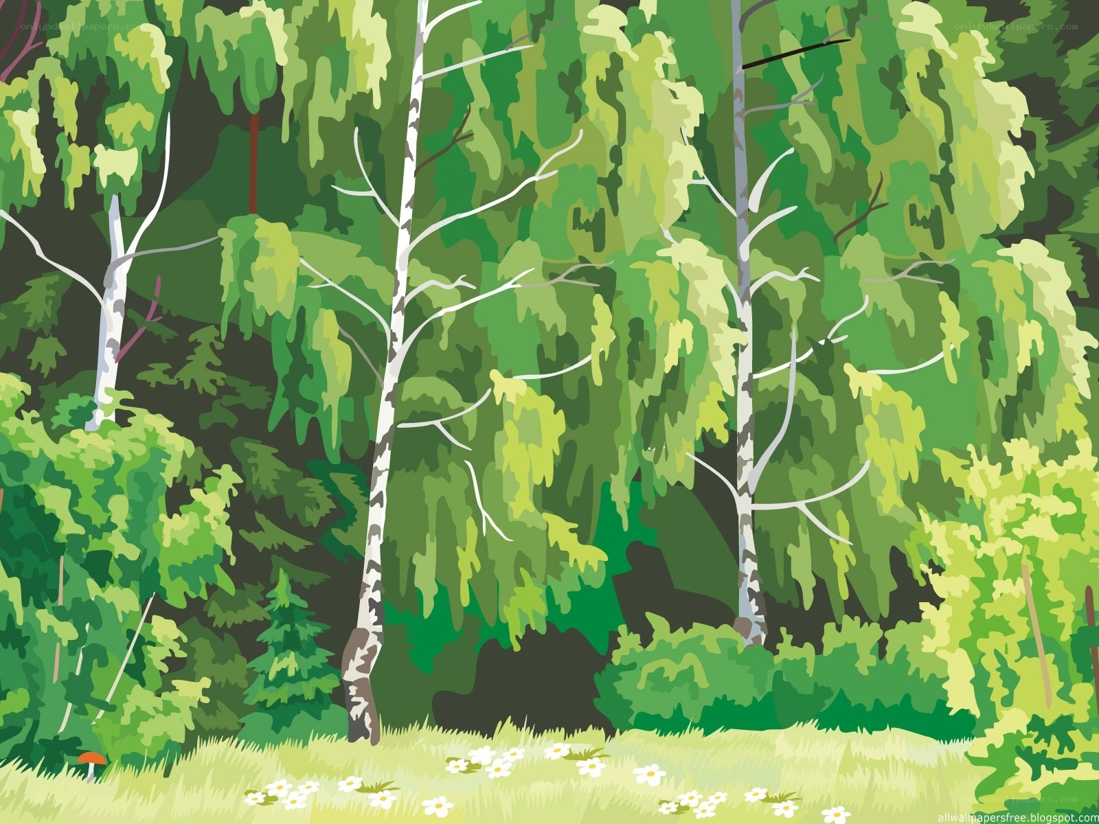 Birch trees in a forest