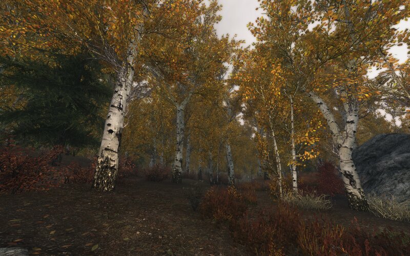 Birch Trees in Autumn — Yellow, Serene, 3d Render