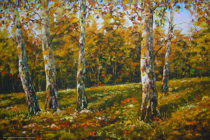 Birch Trees in Autumn — Yellow, Serene, Painting, Forest, Fallen Leaves