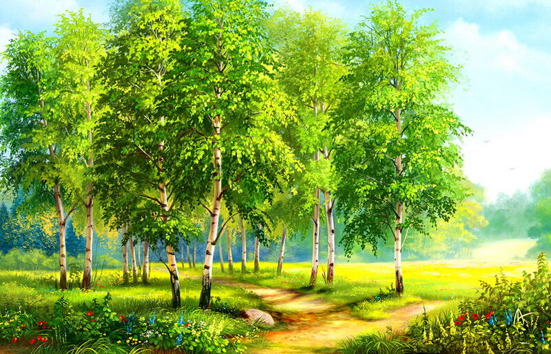 Birch Trees in Field — Green, Serene