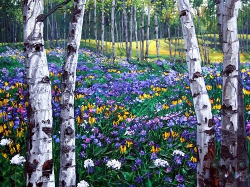 Birch Trees in Flower Field