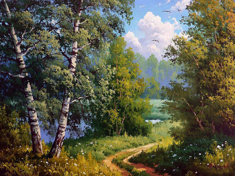 Birch Trees in Forest — Green, Serene, Afternoon