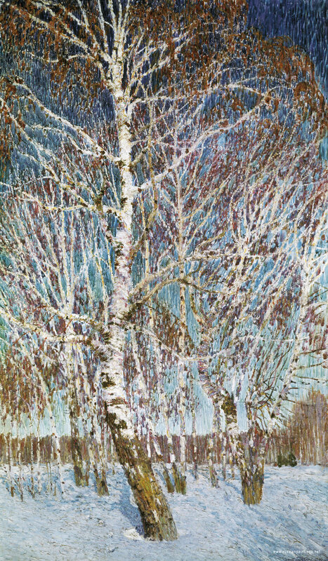 Birch Trees in Snow