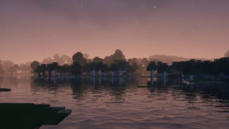Birch Trees in Water — Purple