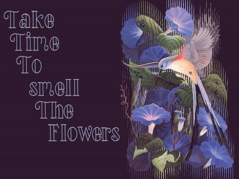 Bird Among Flowers — Purple