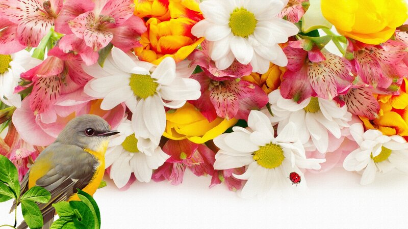 Bird Among Flowers